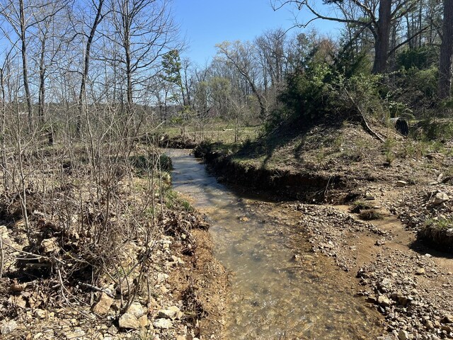 000 County Road 1130, Willow Springs, MO 65793 - photo 39
