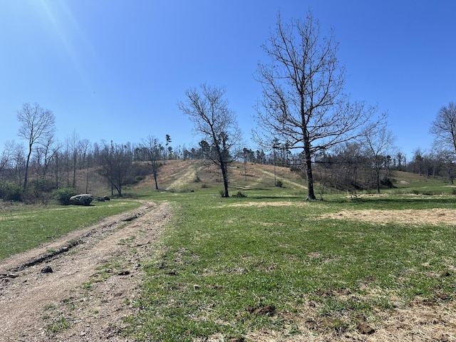 000 County Road 1130, Willow Springs, MO 65793 - photo 59