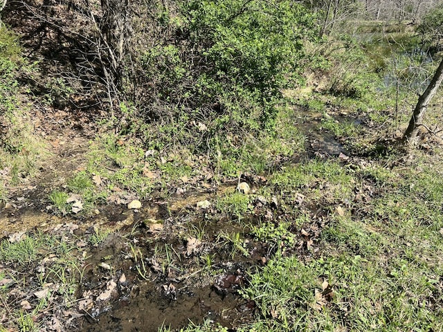 000 County Road 1130, Willow Springs, MO 65793 - photo 36