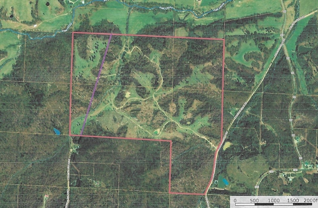000 County Road 1130, Willow Springs, MO 65793 - photo 1