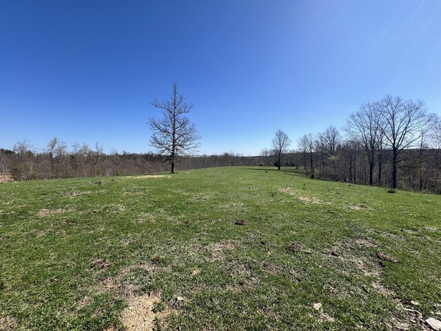 000 County Road 1130, Willow Springs, MO 65793 - photo 7