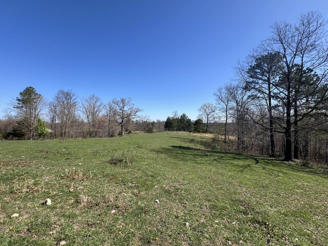 000 County Road 1130, Willow Springs, MO 65793 - photo 10