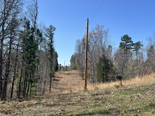 000 County Road 1130, Willow Springs, MO 65793 - photo 50