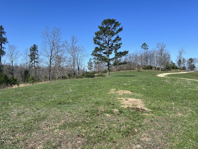 000 County Road 1130, Willow Springs, MO 65793 - photo 5