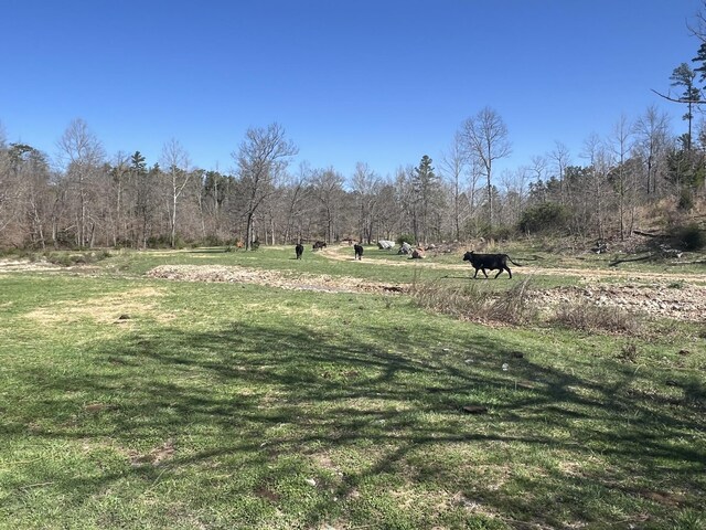 000 County Road 1130, Willow Springs, MO 65793 - photo 23
