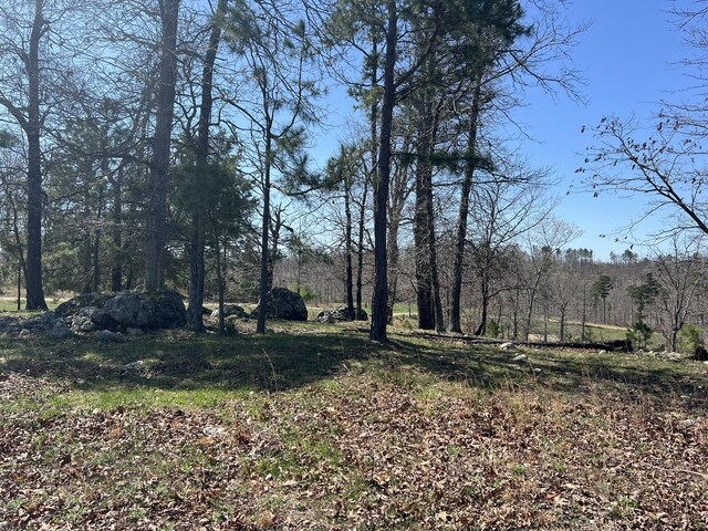 000 County Road 1130, Willow Springs, MO 65793 - photo 64