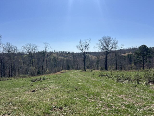 000 County Road 1130, Willow Springs, MO 65793 - photo 56