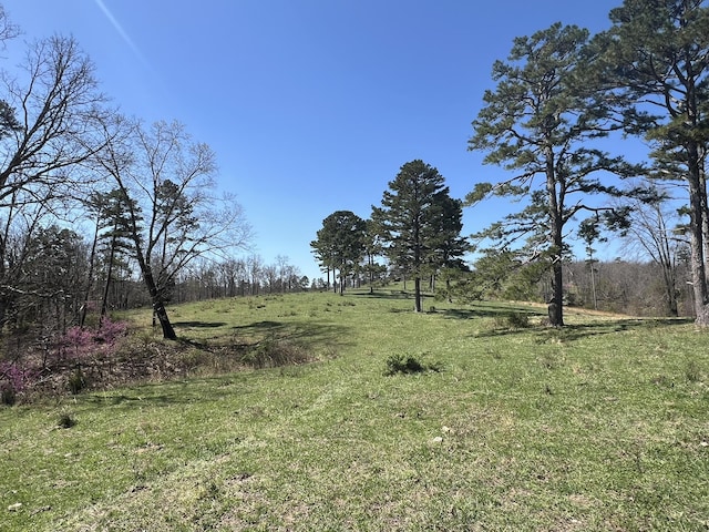 000 County Road 1130, Willow Springs, MO 65793 - photo 55