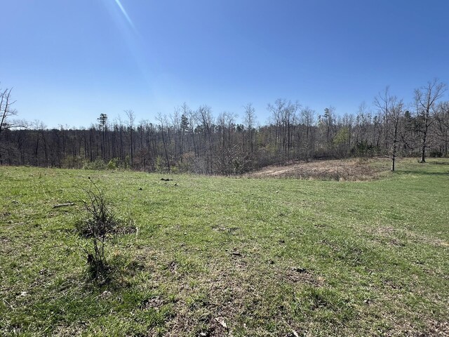 000 County Road 1130, Willow Springs, MO 65793 - photo 16