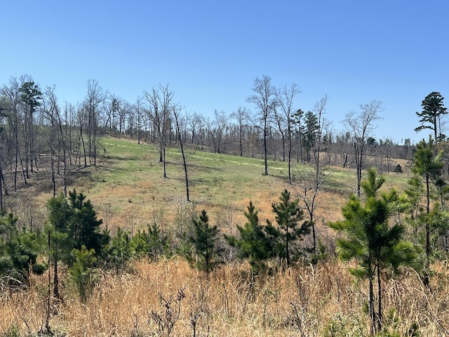000 County Road 1130, Willow Springs, MO 65793 - photo 63