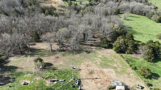 828 Burnett Rd, Seymour, MO 65746 - birds eye view of property with a rural view