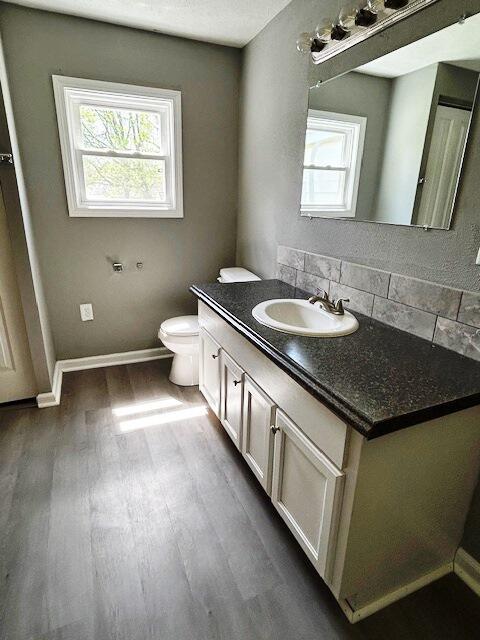 half bath featuring tasteful backsplash, a wealth of natural light, vanity, and wood finished floors