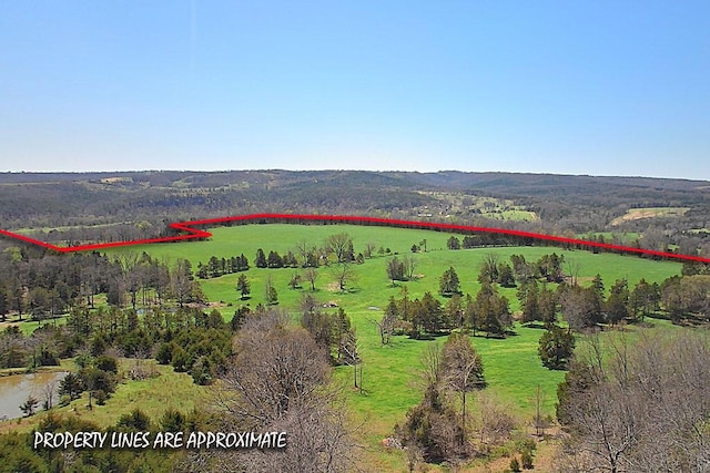 drone / aerial view featuring a rural view