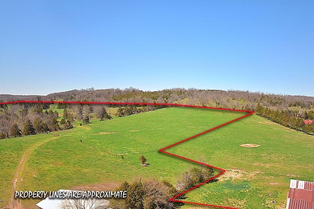 view of yard featuring a rural view