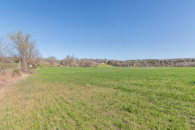 view of yard featuring a rural view