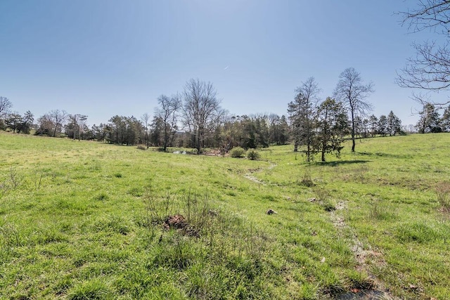 view of landscape with a rural view
