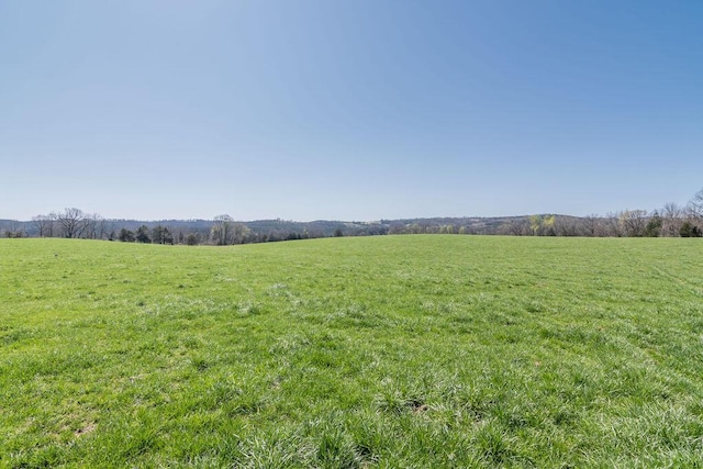 view of yard featuring a rural view
