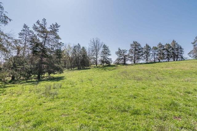 view of local wilderness with a rural view