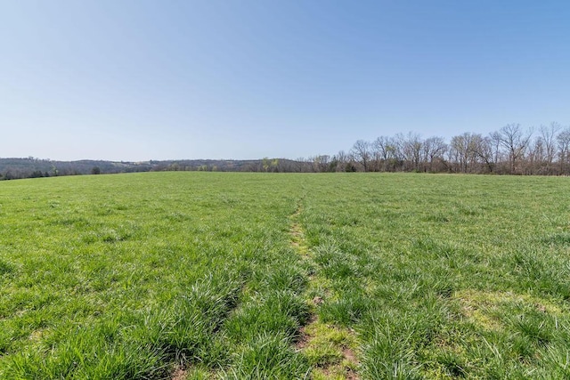 view of yard featuring a rural view