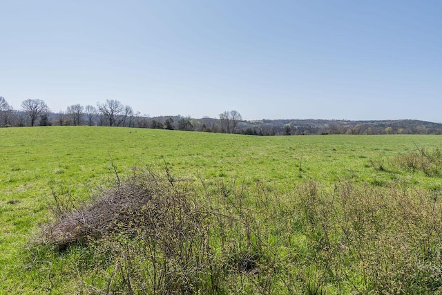 view of yard featuring a rural view