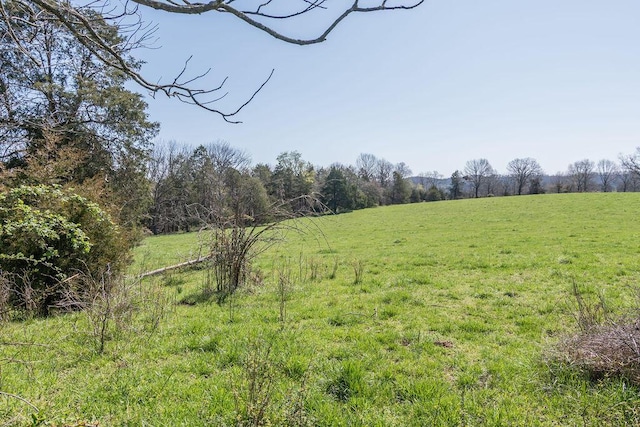 view of landscape with a rural view