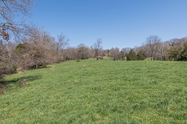 view of yard featuring a view of trees and a rural view