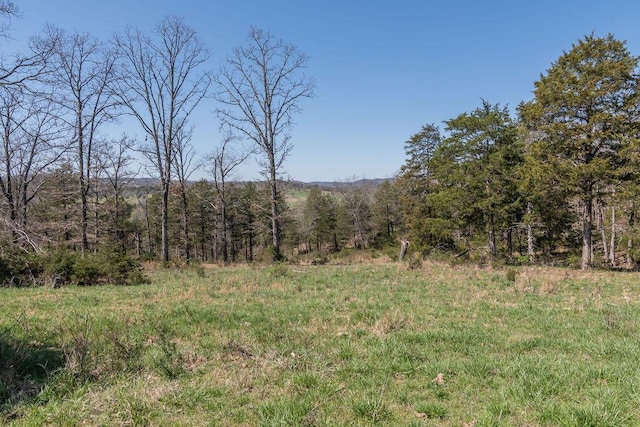 view of landscape featuring a wooded view