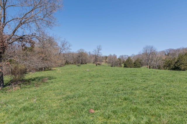 view of yard featuring a wooded view