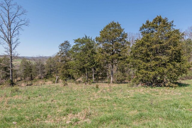view of local wilderness featuring a view of trees