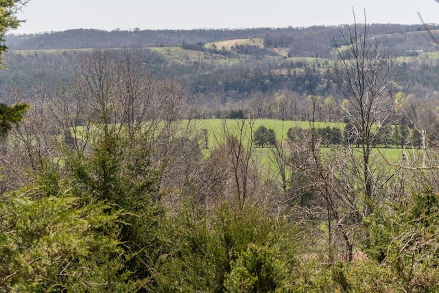 property view of mountains with a wooded view