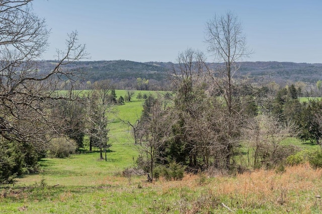 property view of mountains featuring a forest view