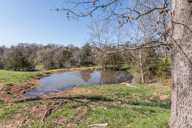 property view of water with a forest view