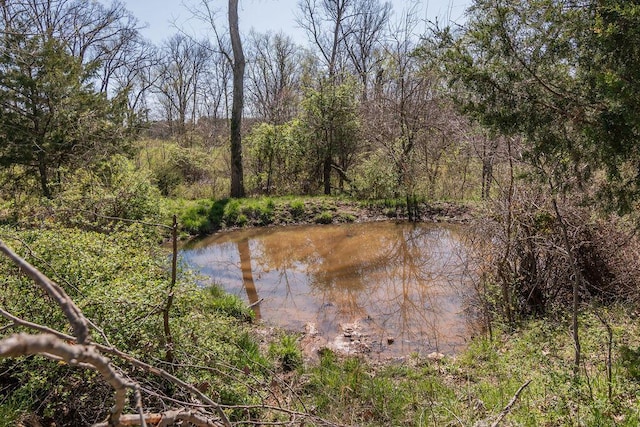 property view of water featuring a wooded view