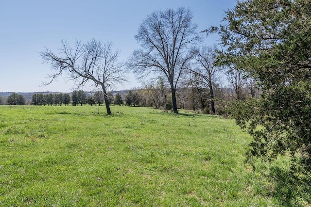 view of yard featuring a rural view