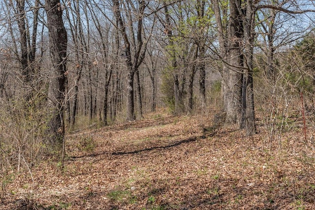 view of local wilderness with a forest view