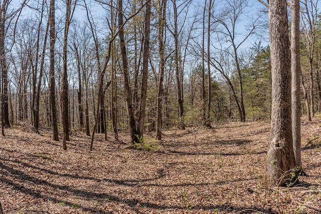 view of local wilderness featuring a forest view