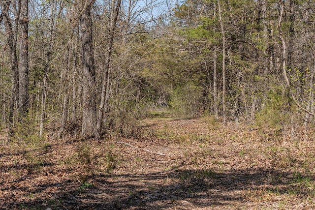 view of local wilderness with a forest view