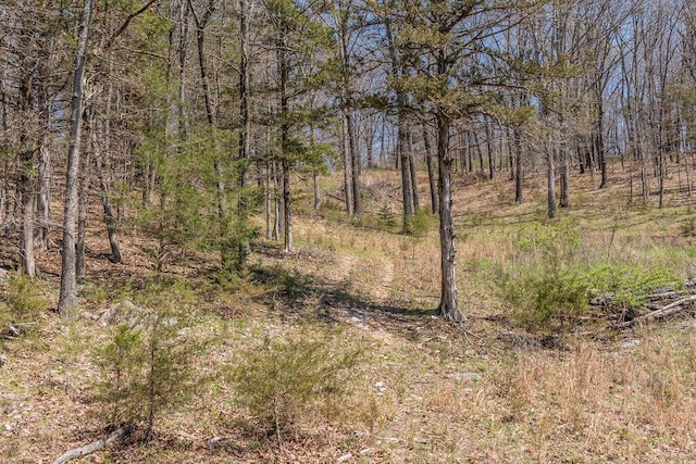 view of local wilderness with a view of trees