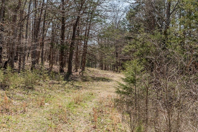 view of local wilderness with a view of trees