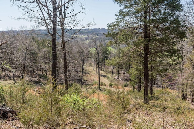 property view of mountains with a wooded view