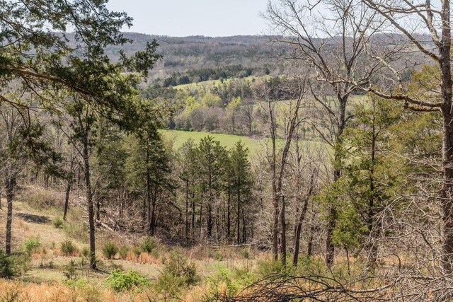 view of mountain feature featuring a forest view