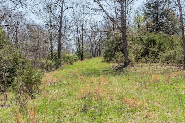 view of local wilderness featuring a wooded view