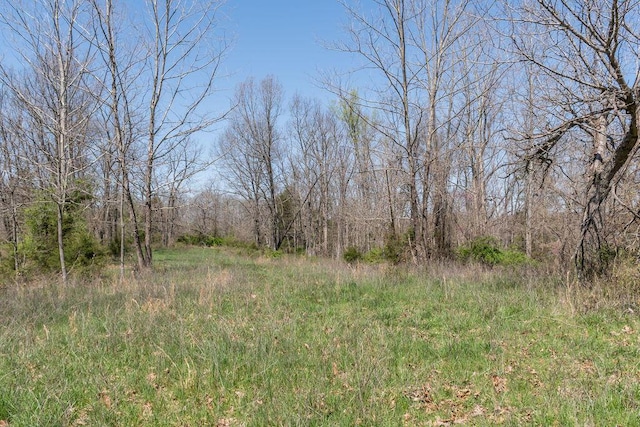 view of local wilderness featuring a view of trees