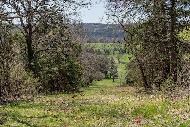 view of mountain feature with a wooded view