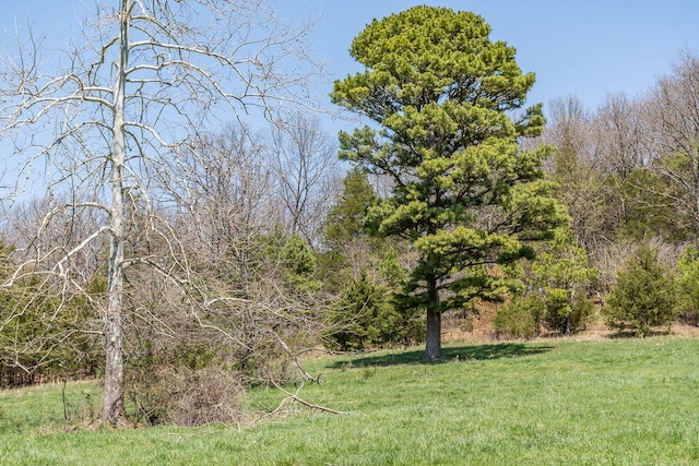 view of landscape