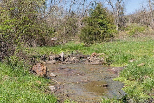 view of nature