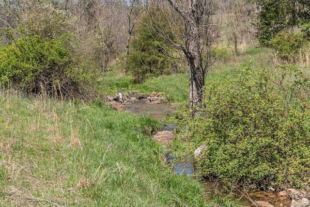 view of nature with a forest view