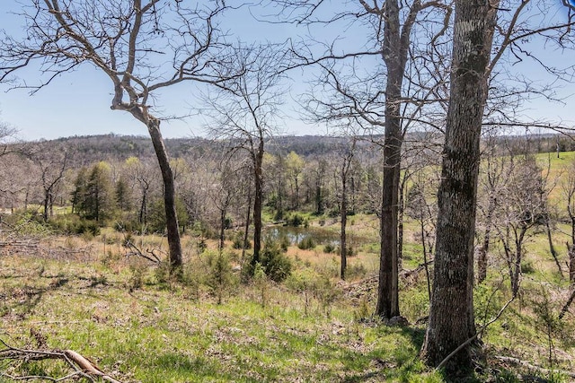 property view of mountains featuring a wooded view