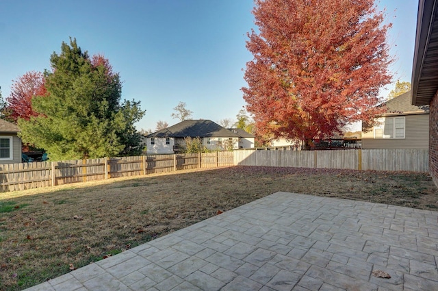 view of yard featuring a patio area and a fenced backyard