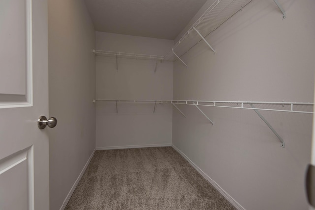 spacious closet with carpet